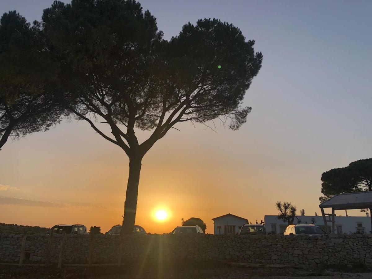 Le Masserie Zucaro Castel Del Monte  Dış mekan fotoğraf