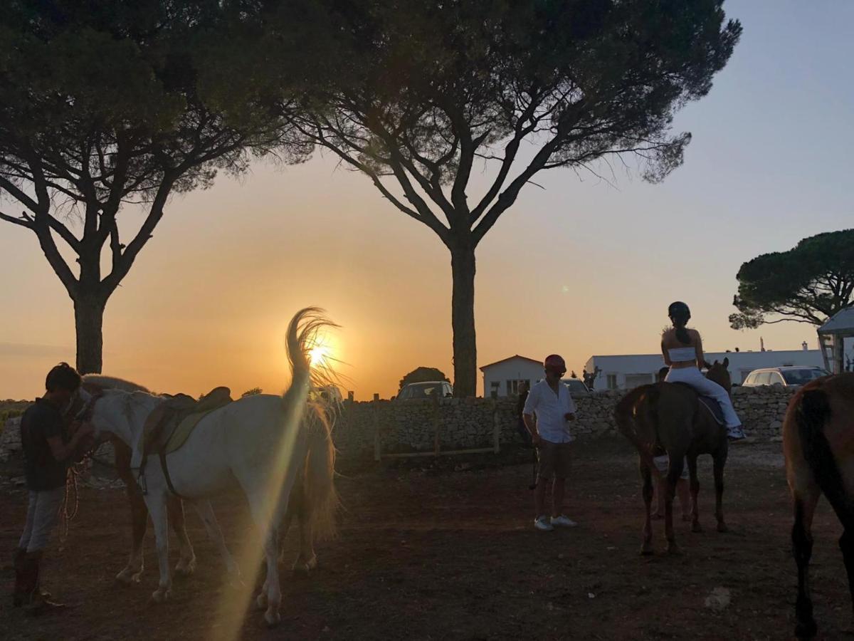 Le Masserie Zucaro Castel Del Monte  Dış mekan fotoğraf